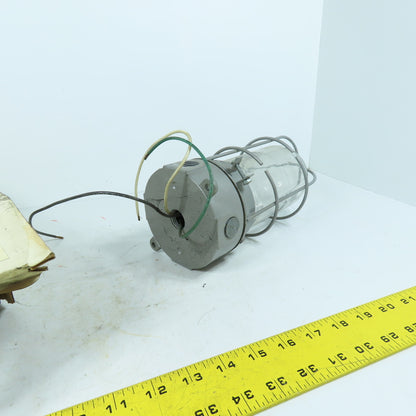 Appleton WFC1050G 100W Vaporproof Wall/Ceiling Light Fixture with Guard