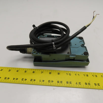 Schneider Electric XPEM110H2 Industrial Metal Foot Switch 240V 3A