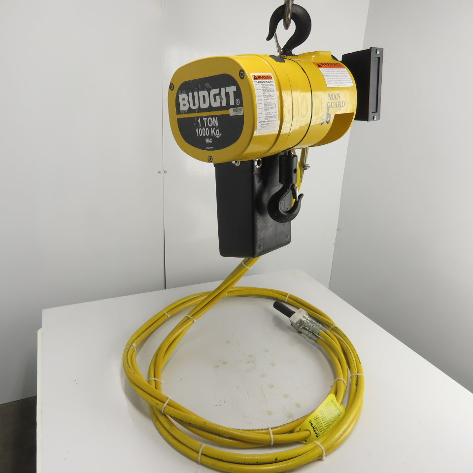 Budgit BAHC0130 1 Ton 2000LB Pneumatic Air Chain Hoist 30FPM 90 PSIG 2 ...