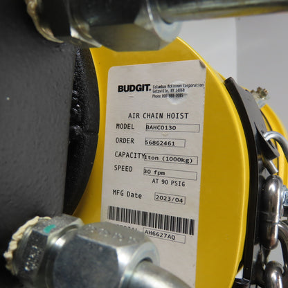 Budgit BAHCO130 1 Ton 2000LB Pneumatic Air Chain Hoist 30FPM 90 PSIG 20'Lift NEW