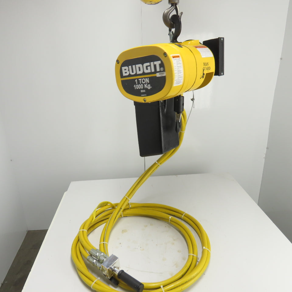 Budgit BAHCO130 1 Ton 2000LB Pneumatic Air Chain Hoist 30FPM 90 PSIG 2 ...