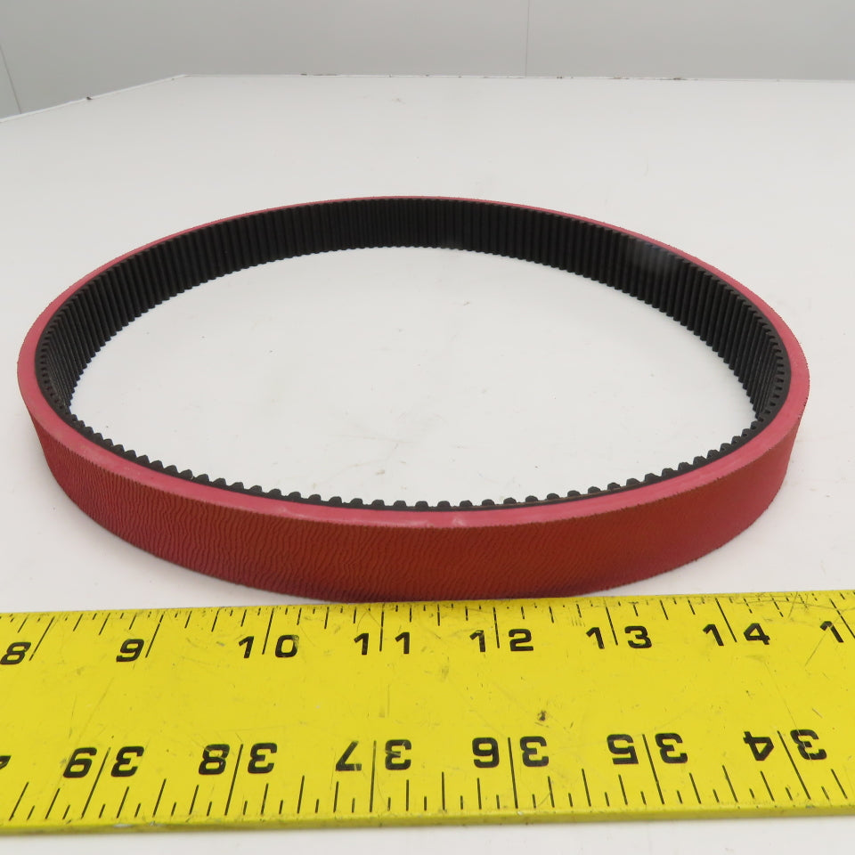 Chiorino 1102284000205 25mm x 800mm Seamless HTD5M Timing Belt