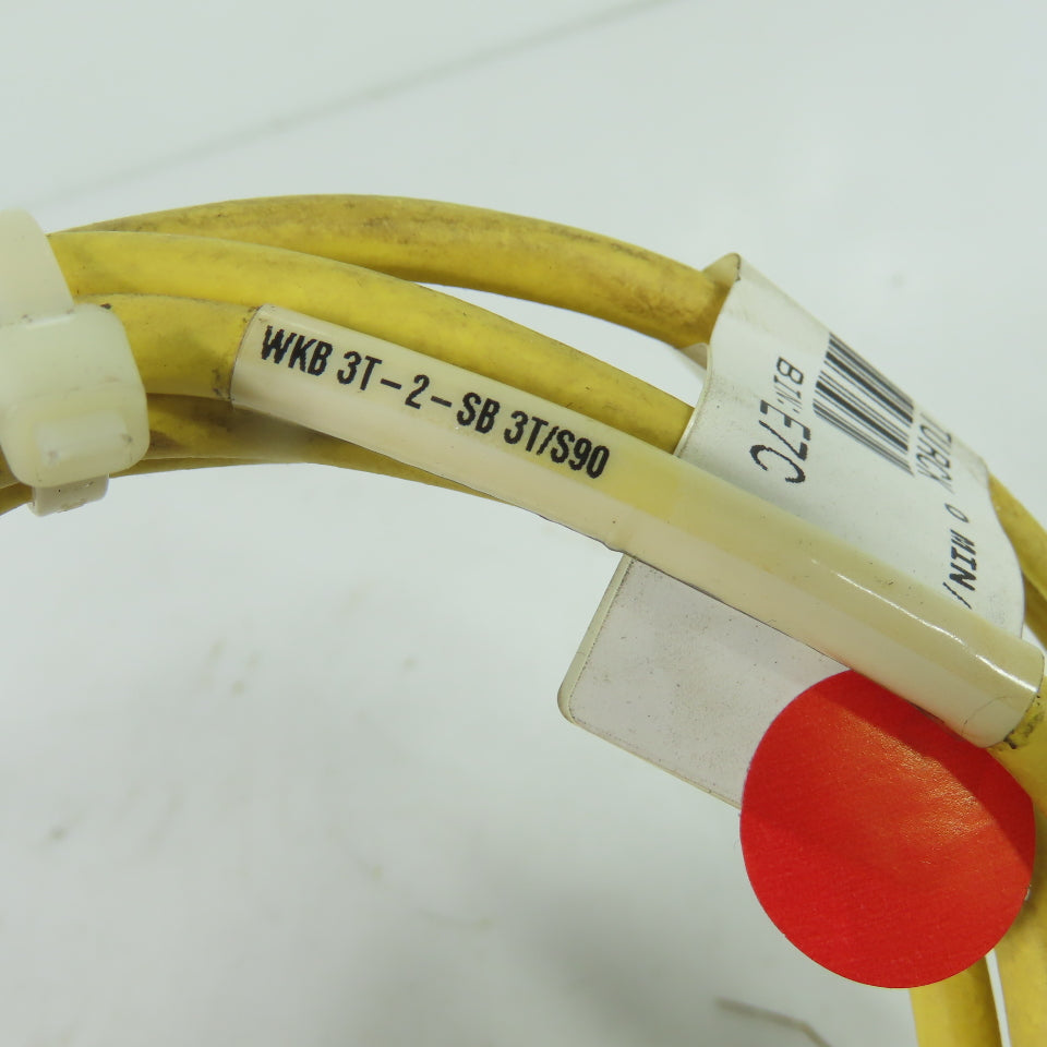 Turck WKB 3T-2-SB 3T/S90 3-Wire M12 Cordset Cable 90-Degree to Straight