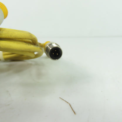 Turck WKB 3T-2-SB 3T/S90 3-Wire M12 Cordset Cable 90-Degree to Straight