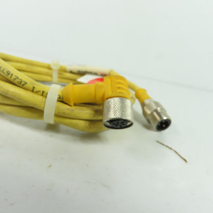 Turck WKB 3T-2-SB 3T/S90 3-Wire M12 Cordset Cable 90-Degree to Straight