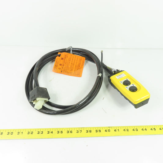 Hitachi COB601 2-Button Hoist Pendant Control Station 250V 5A NEW