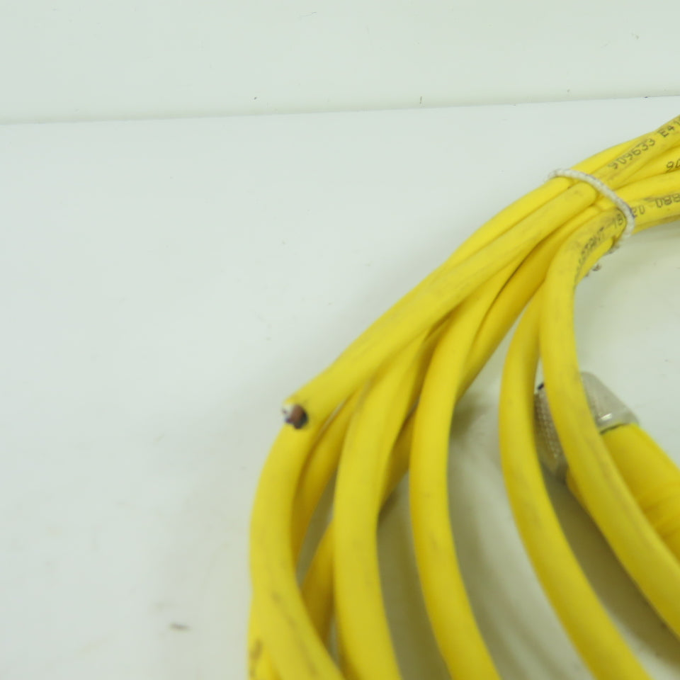 Lumberg 600000281 RKT 4-633/5M Single-Ended Cordset 4-Pole M12 Female 5m Length