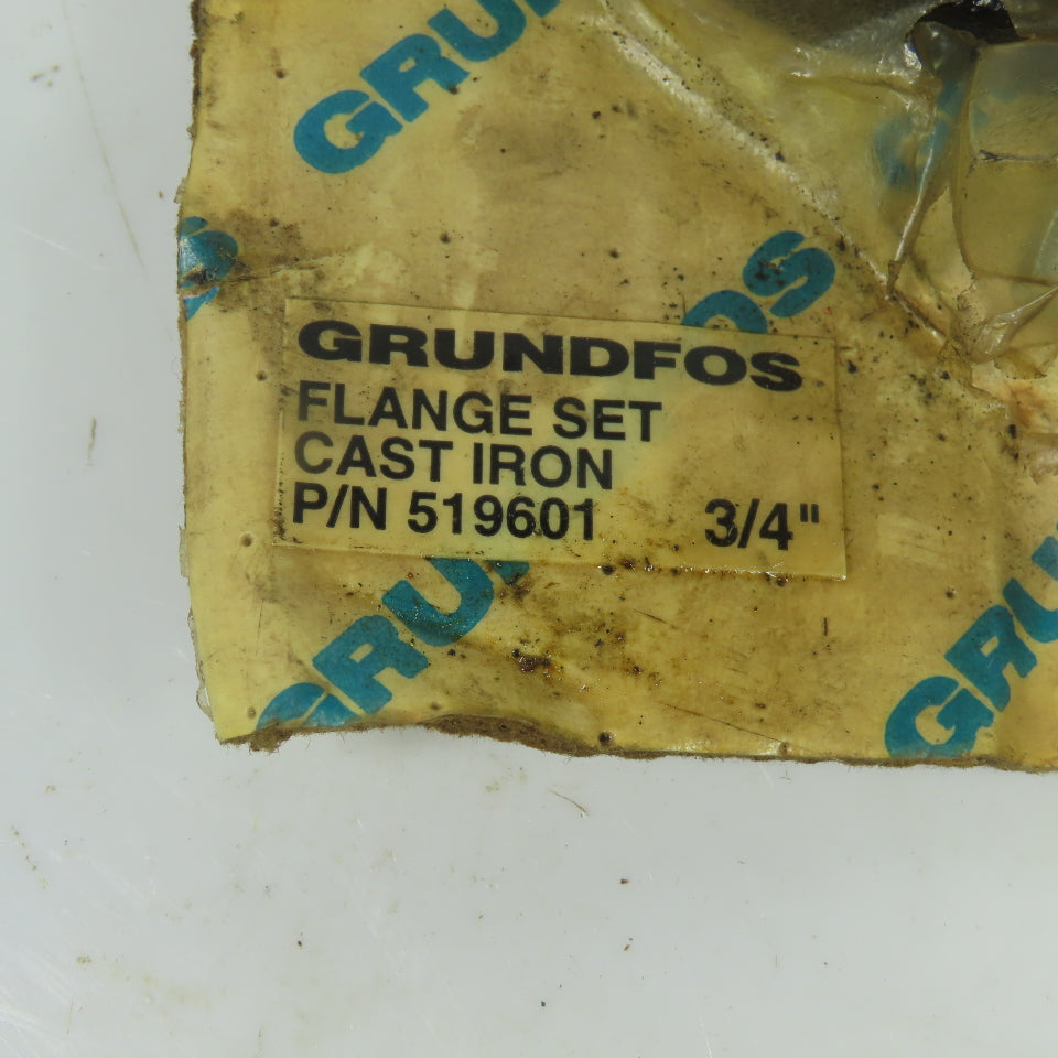 Grundfos 519601 3/4" Cast Iron Flange Set Kit NEW