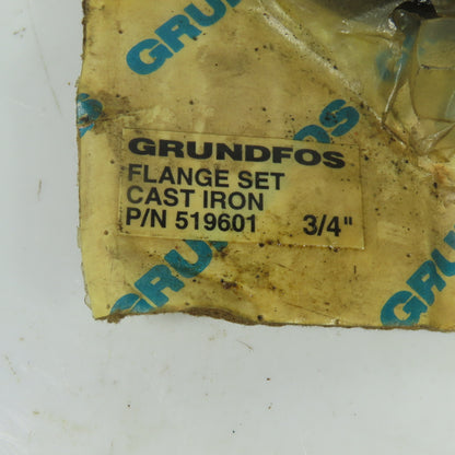 Grundfos 519601 3/4" Cast Iron Flange Set Kit NEW