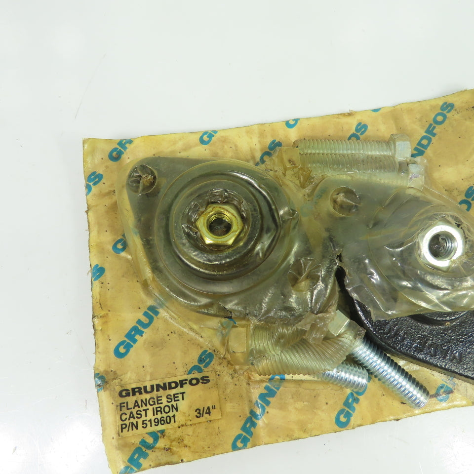 Grundfos 519601 3/4" Cast Iron Flange Set Kit NEW