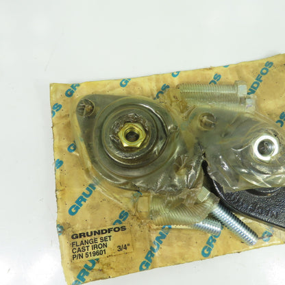 Grundfos 519601 3/4" Cast Iron Flange Set Kit NEW