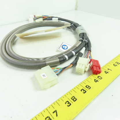 Asyst Technologies 169335-1 RBT Wire Harness Cable Assembly NEW