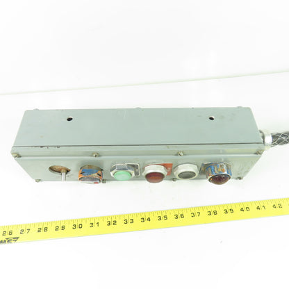 6-Element Pendant Control Station with Indicator Lights 13.5" x 4"x 3"