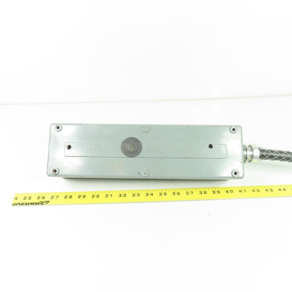 6-Element Pendant Control Station with Indicator Lights 13.5" x 4"x 3"