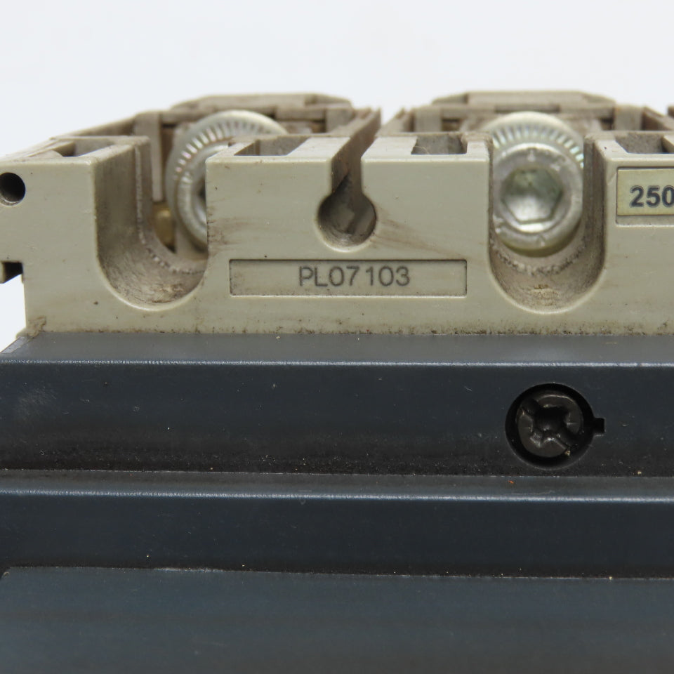 SCHNEIDER ELECTRIC DE175 175A 3-Pole Thermal Magnetic Circuit Breaker 250N