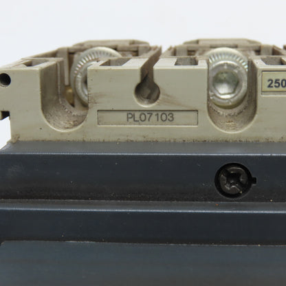 SCHNEIDER ELECTRIC DE175 175A 3-Pole Thermal Magnetic Circuit Breaker 250N