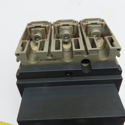 SCHNEIDER ELECTRIC DE175 175A 3-Pole Thermal Magnetic Circuit Breaker 250N