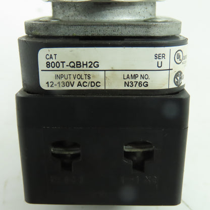Allen-Bradley 800T-QBH2G Green Momentary Contact PushButton 12-130V W/800TC-N374