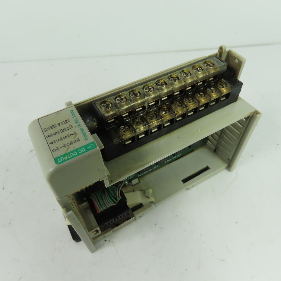 Allen-Bradley 1769-OB16P 16 PT 24VDC Elect-Fused Sourcing Output Module Ser B