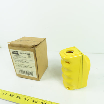 Dayton 20C809 2-Button Up/Down Hoist Pendant Station NEMA 4X