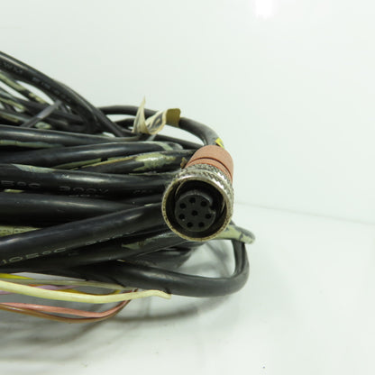 STI 60555-1150 6-Pin M12 Industrial Cable Cordset 300V 105C 30' Long