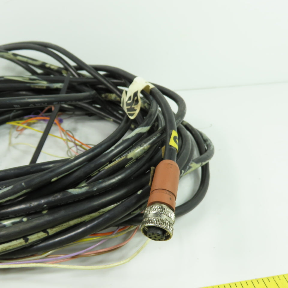 STI 60555-1150 6-Pin M12 Industrial Cable Cordset 300V 105C 30' Long