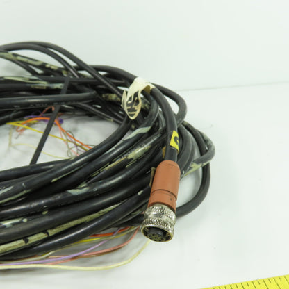 STI 60555-1150 6-Pin M12 Industrial Cable Cordset 300V 105C 30' Long