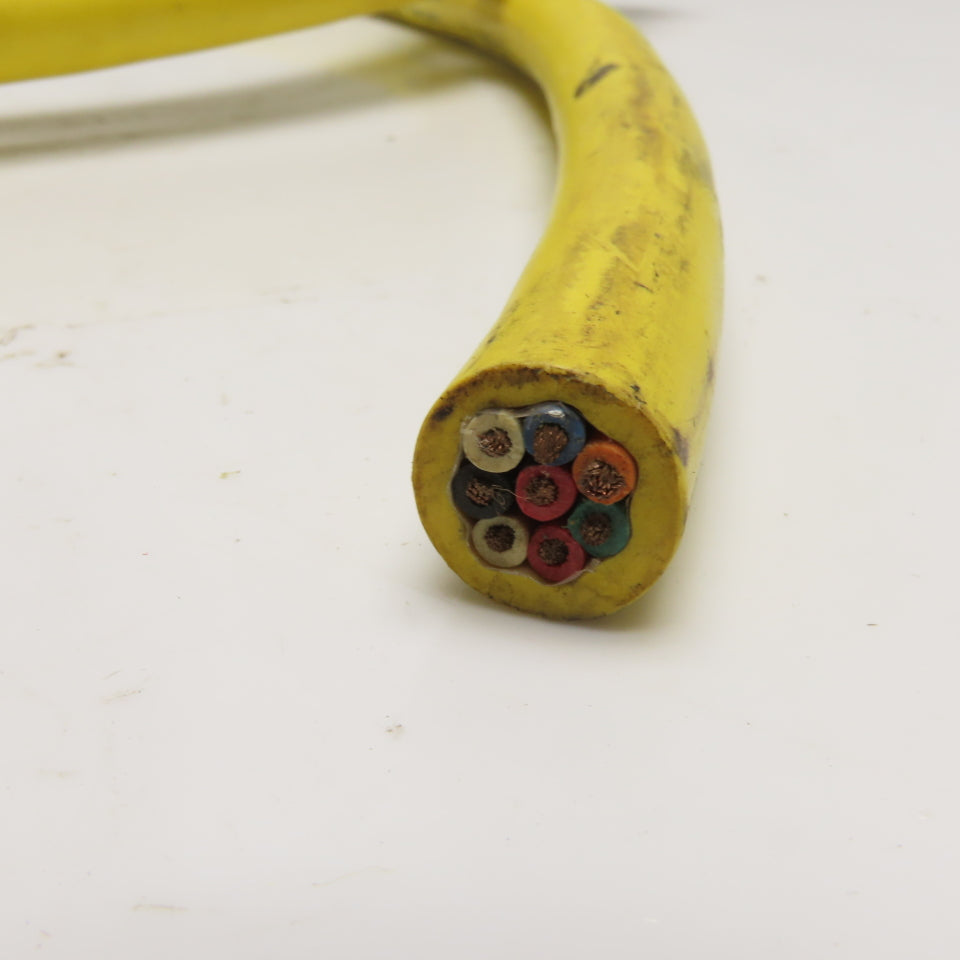 Lumberg RK 80M-698/6FT 8-Pole Female Straight 6ft Single Ended Cable
