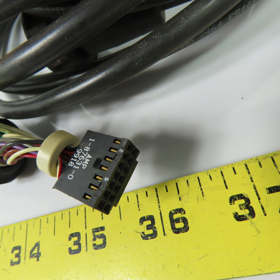 STI 42660-0150 Safety Light Curtain Interface Cable 15'