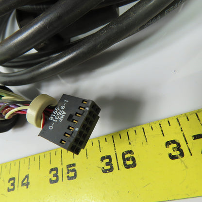 STI 42660-0150 Safety Light Curtain Interface Cable 15'