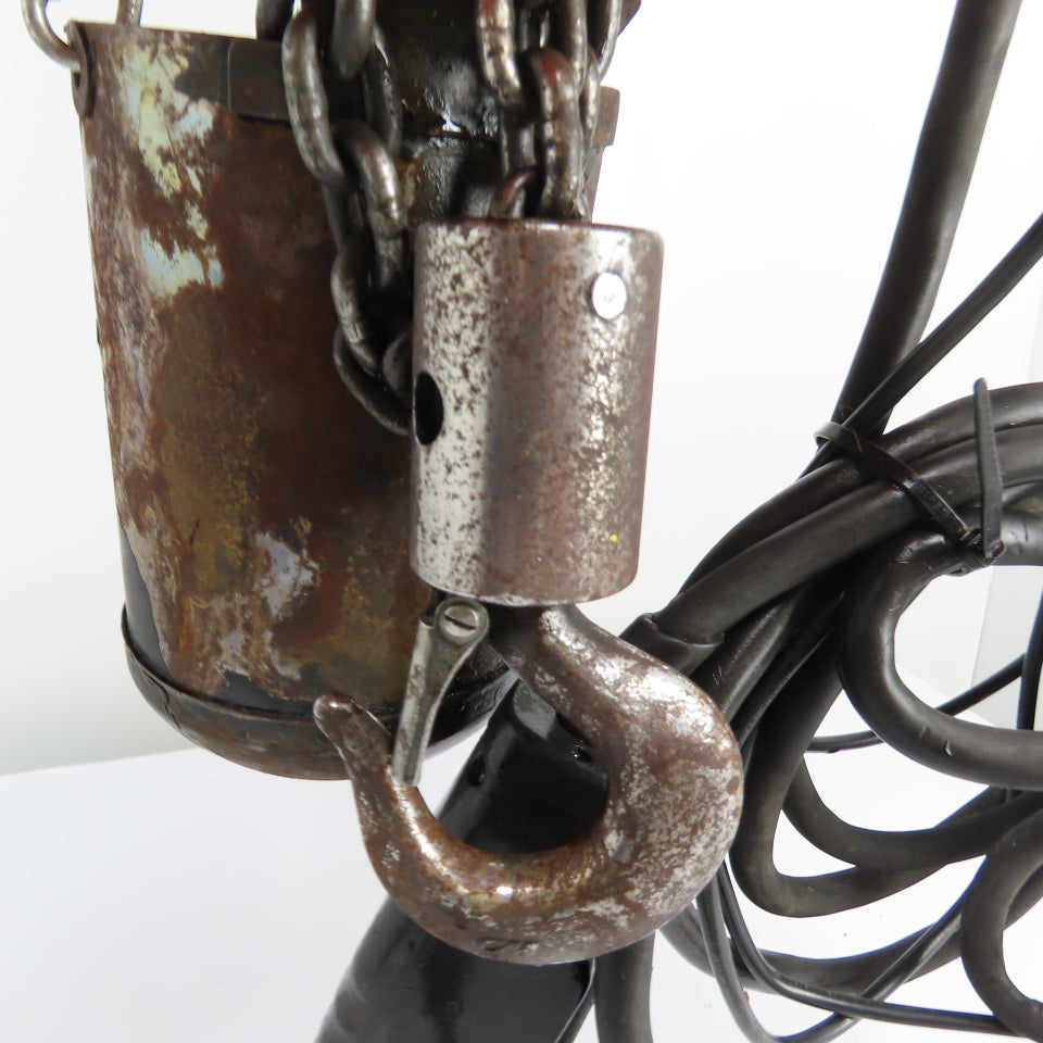 CM Valustar Model WF 1/2 Ton 1000LB Electric Chain Hoist 10' Lift 16FPM 1Ph 115V