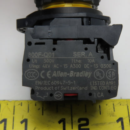 Allen-Bradley 800F-Q01 Emergency Stop E-Stop Push Button Assembly 300V 10A
