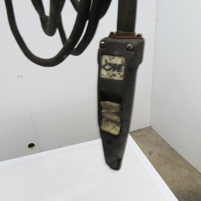 CM WF Valustar 1/2 Ton Electric Chain Hoist 10' Lift 16FPM 115V 1Ph