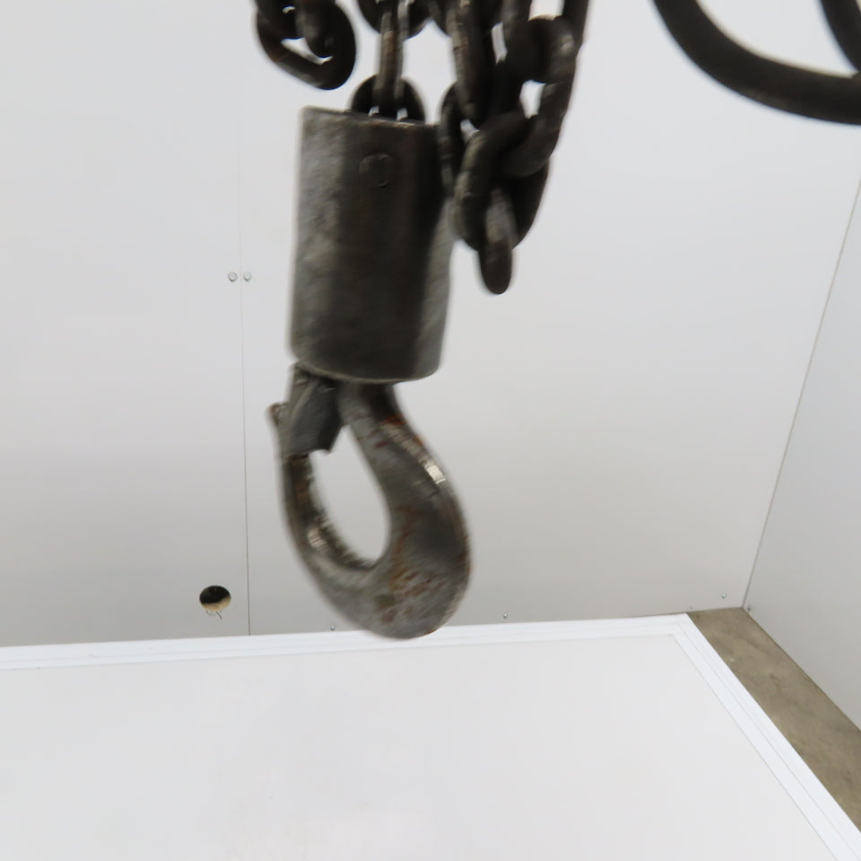 CM WF Valustar 1/2 Ton Electric Chain Hoist 10' Lift 16FPM 115V 1Ph