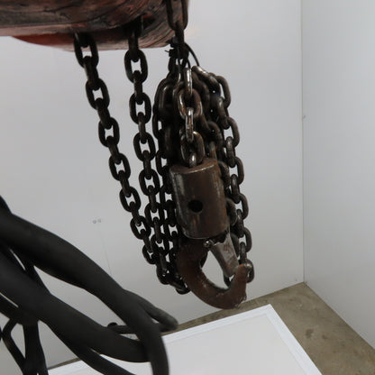 CM WF Valustar 1/2 Ton Electric Chain Hoist 10' Lift 16FPM 115V 1Ph