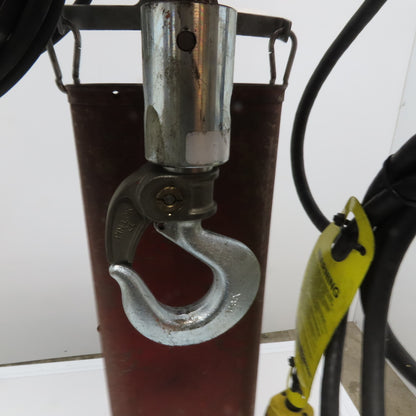 Dayton 3YB72H 1/4 Ton Electric Chain Hoist 10' Lift 16FPM 115/220V 1Ph