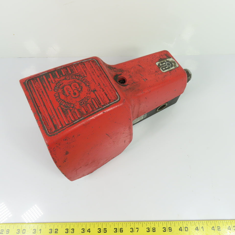 Bernstein 606.1700.004 F1-U2 UN Single Pedal Guarded Foot Switch 10A 300V AC