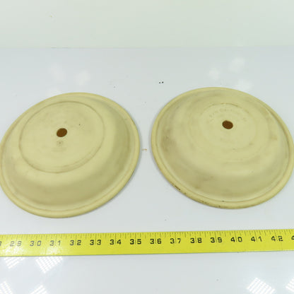 Wilden Pump 04-1010-58 Pump Diaphragms Lot Of 2