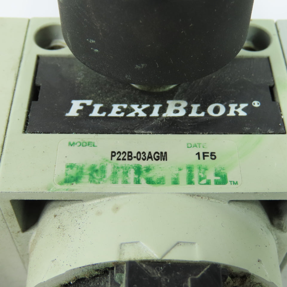 Numatics P22B-03AGM S22C-03BKLM Flexiblok Pneumatic Filter Regulator Assembly