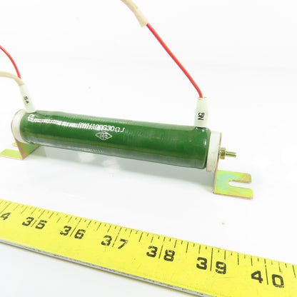 RWH100G30 Ceramic Resistor 30 Ohm