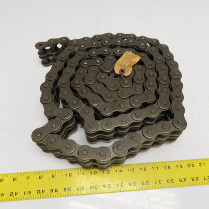 Tsubaki 100-2 ANSI 100 Double Strand Riveted Roller Chain 10'