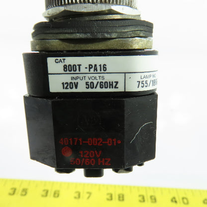 Allen-Bradley 800T-PA16 Green Illuminated Momentary Contact Push Button Ser T