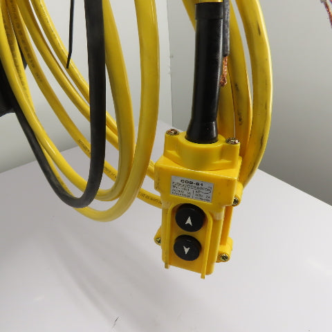CM Lodestar Model RRS 2Ton 4000LB Electric Chain Hoist 20'Lift 16FPM 230/460 3Ph