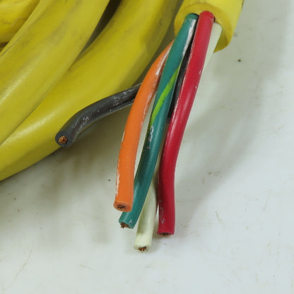 MAC Valves 23881-05-12 Single-Ended Cable Assembly 5-Pin Mini Female