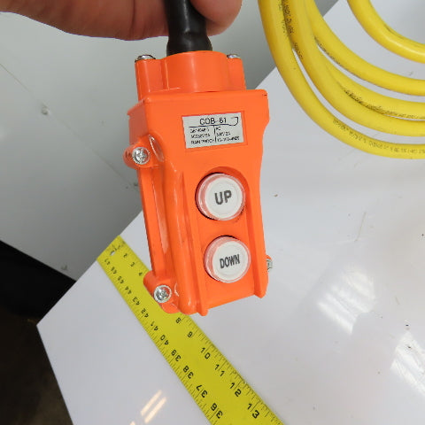 CM Lodestar Model RRS 2Ton 4000LB Electric Chain Hoist 20'Lift 16FPM 230/460 3Ph