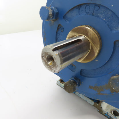 Griswold M-A30-10028 Centrifugal Pump 13" Impeller M/3X2X13/1300/DSTM/CS