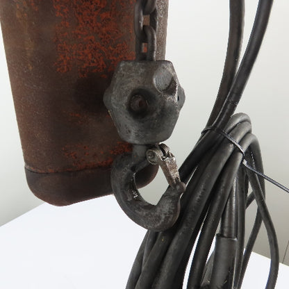 Dayton 9N100B 1 Ton 2000Lb Electric Chain Hoist 15' Lift 16FPM 230/460V 3Ph