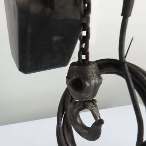 Dayton 3YB76 1 Ton 2000Lb Electric Chain Hoist 20' Lift 16 FPM 230/460V 3Ph
