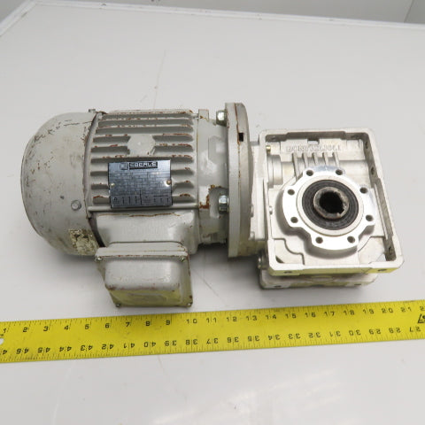 Bonfiglioli W63 U P80B5 2CV Gear Motor 220V/380V 3Ph 1730RPM 19:1