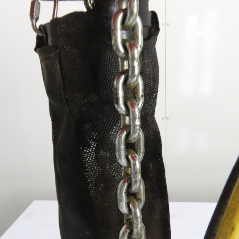 CM Lodestar Model L 1Ton 2000LB Electric Chain Hoist 15'Lift 16FPM 230/460 3Ph